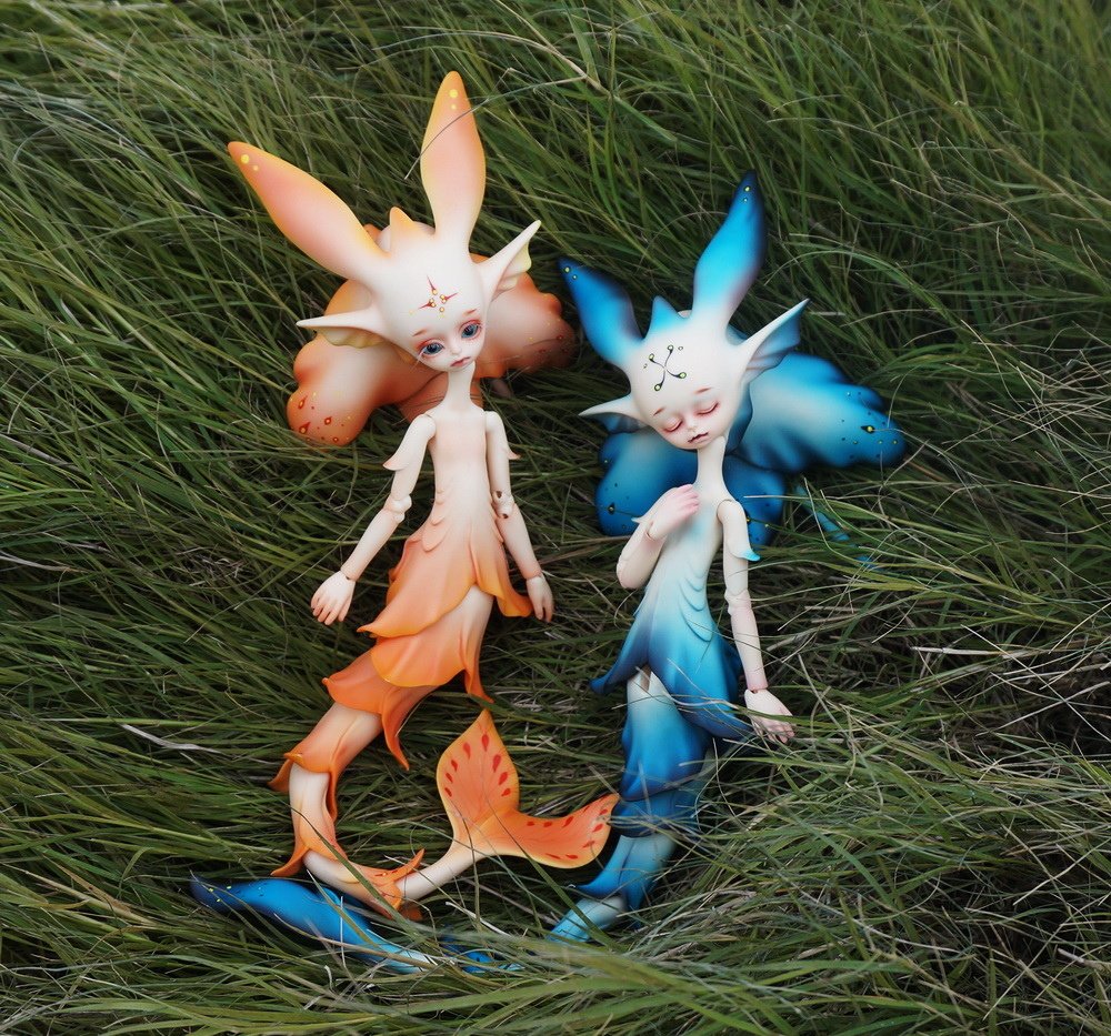 草茵中的花魚