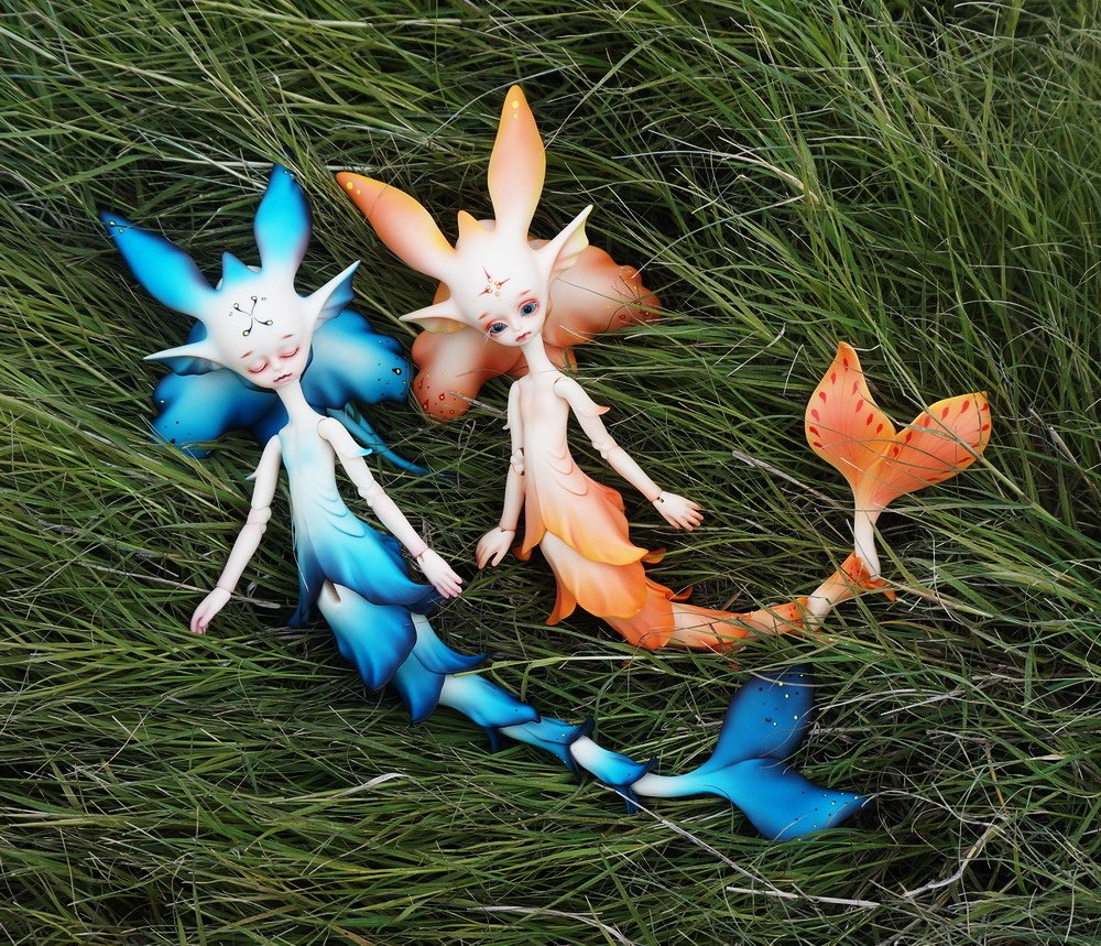草茵中的花魚