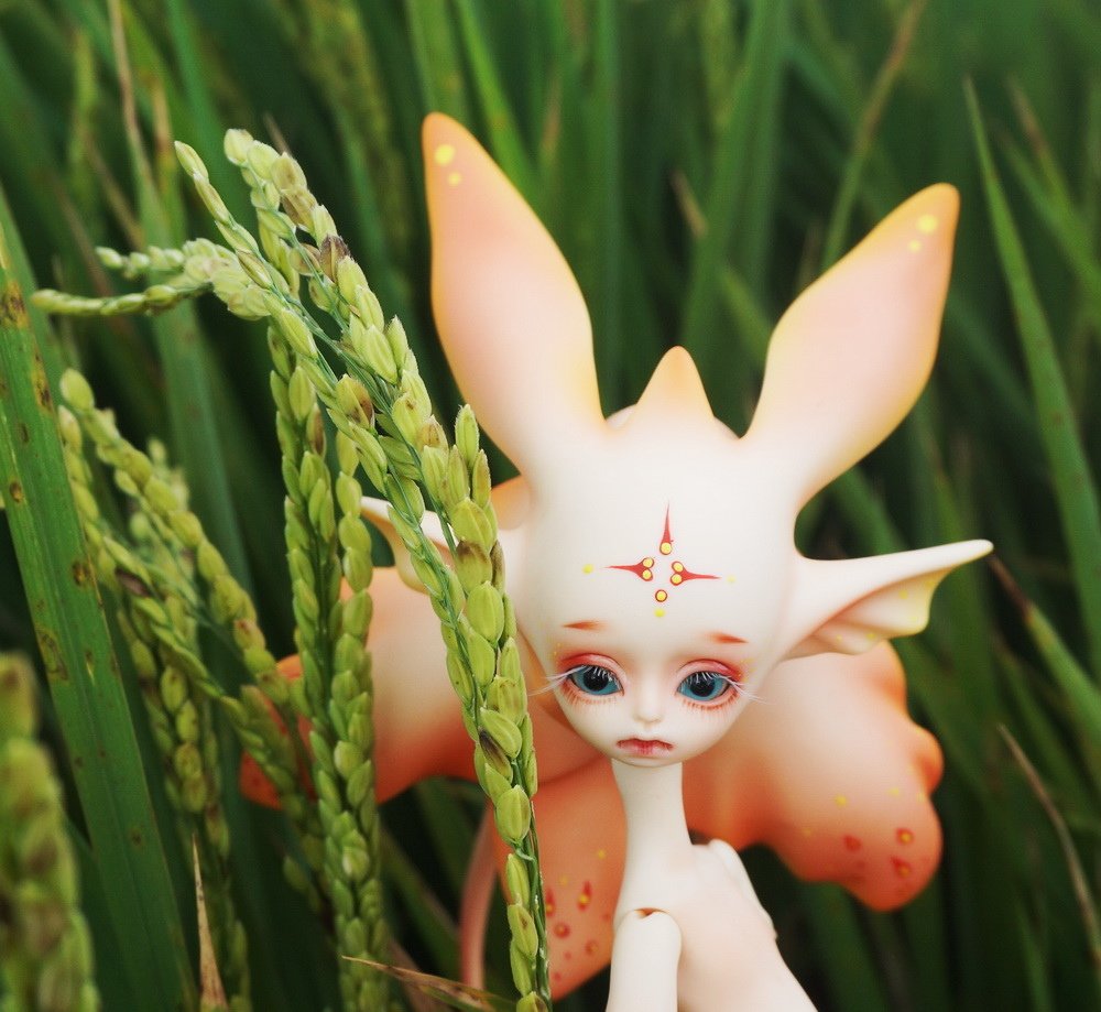 草茵中的花魚