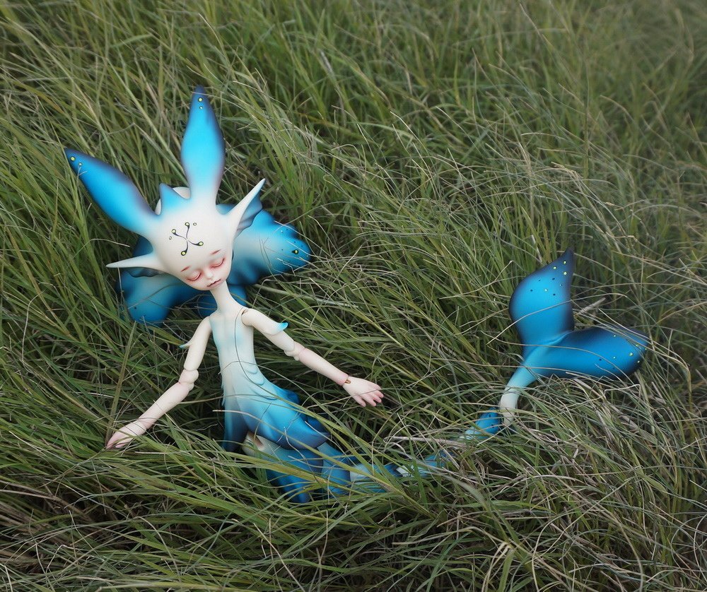 草茵中的花魚