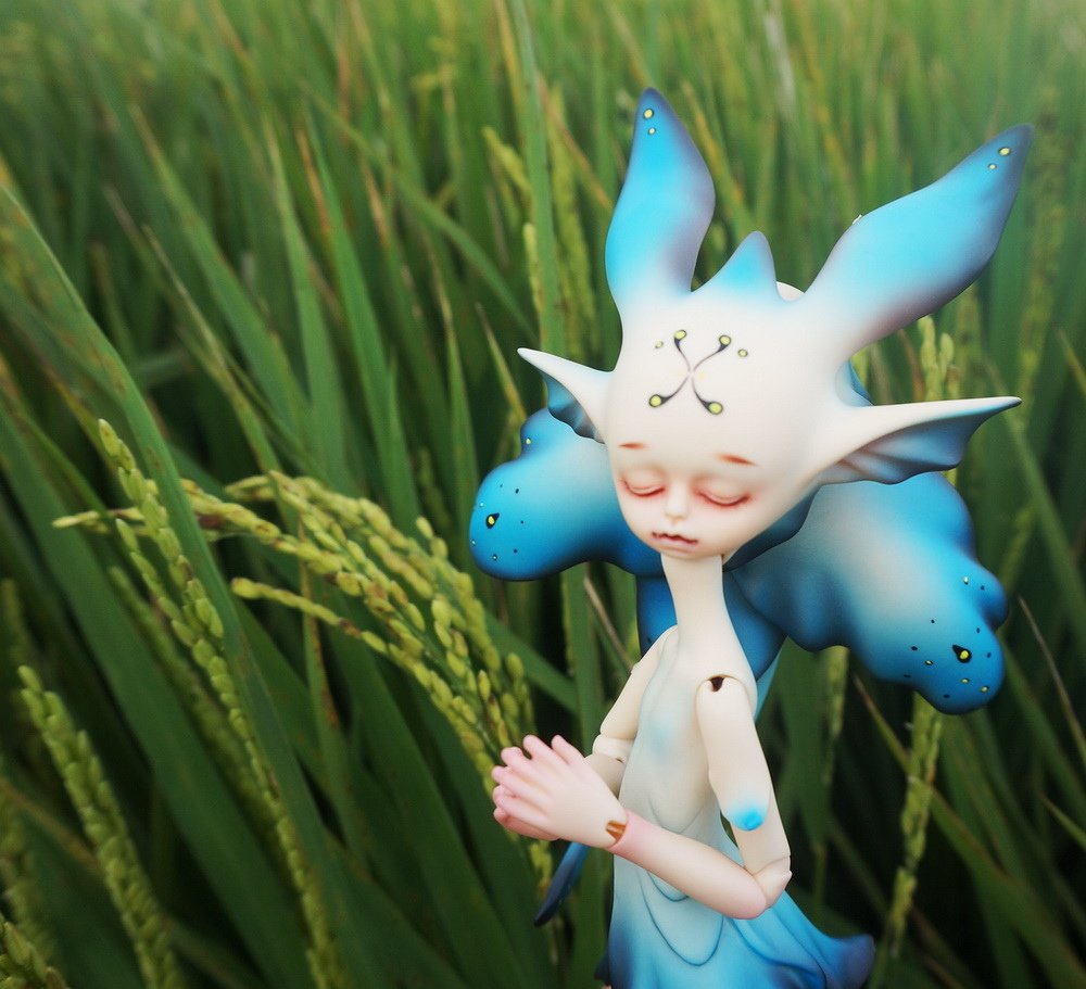 草茵中的花魚