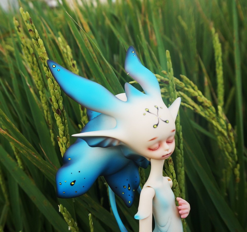 草茵中的花魚