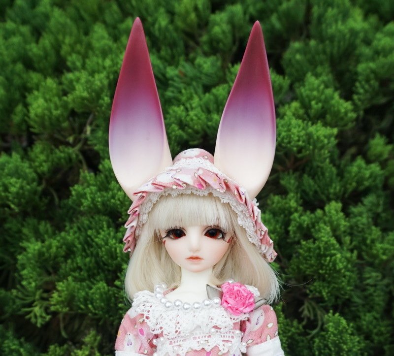 蘿莉塔獸耳少女
