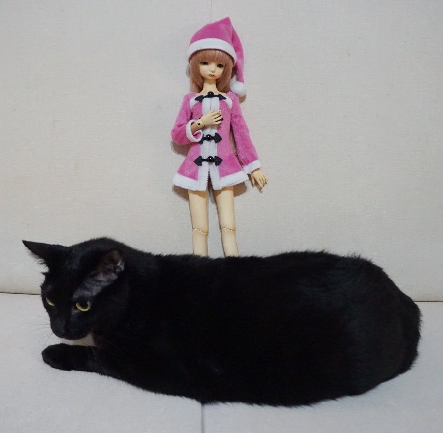 聖誕貓與聖誕美人