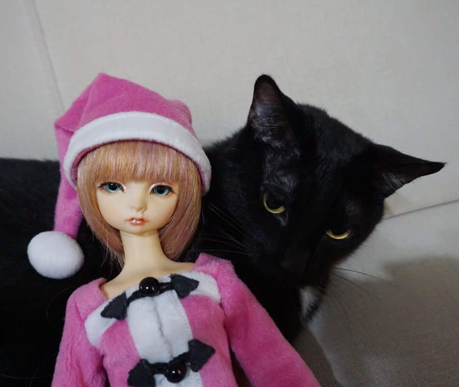 聖誕貓與聖誕美人