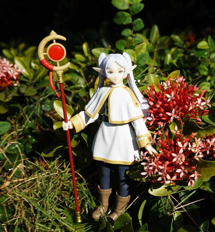 綠意中的芙莉蓮