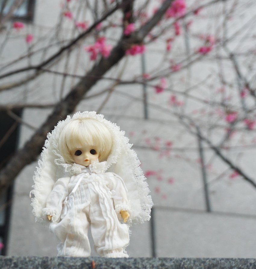 白兔姊妹花