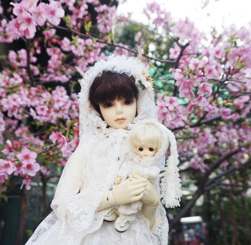 白兔姊妹花