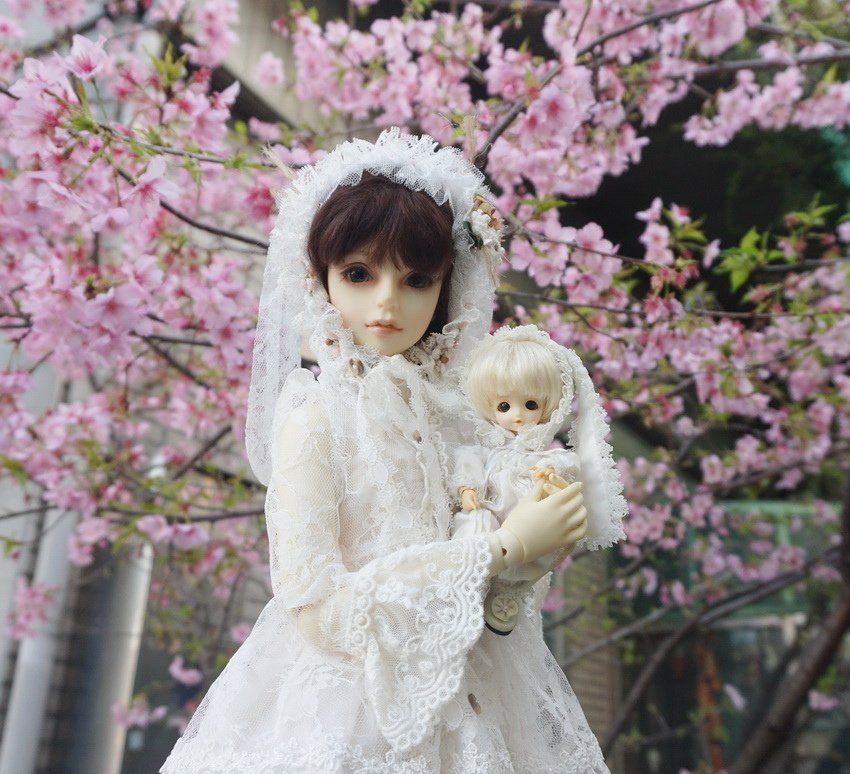 白兔姊妹花