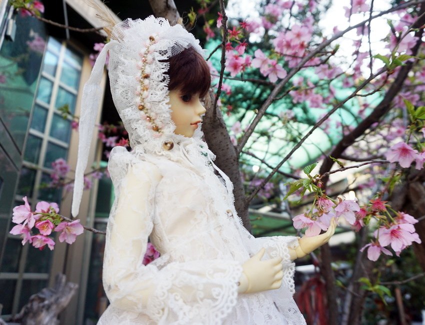 白兔姊妹花