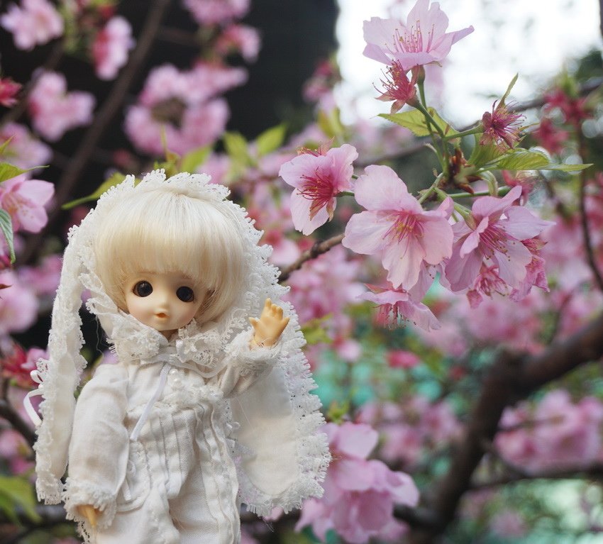 白兔姊妹花