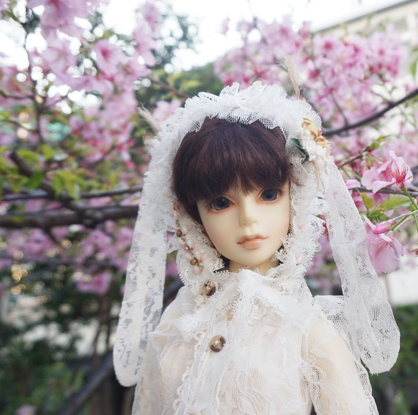 白兔姊妹花