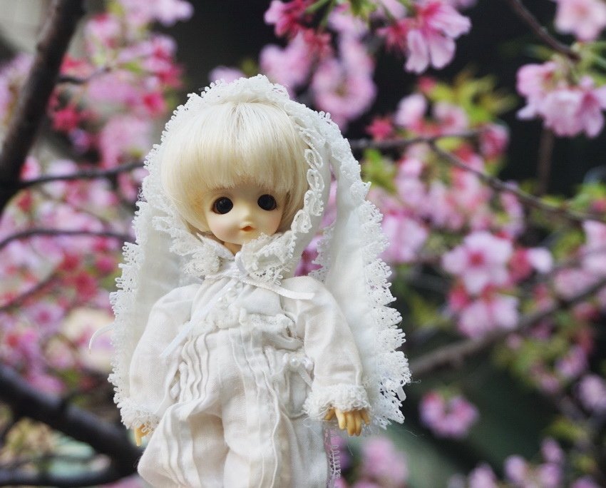 白兔姊妹花
