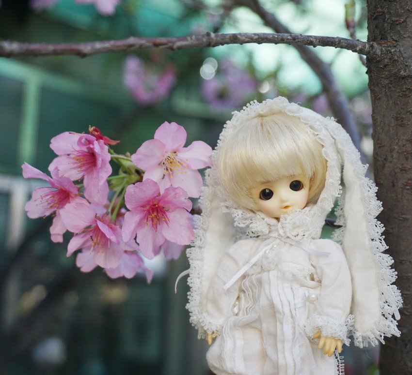 白兔姊妹花