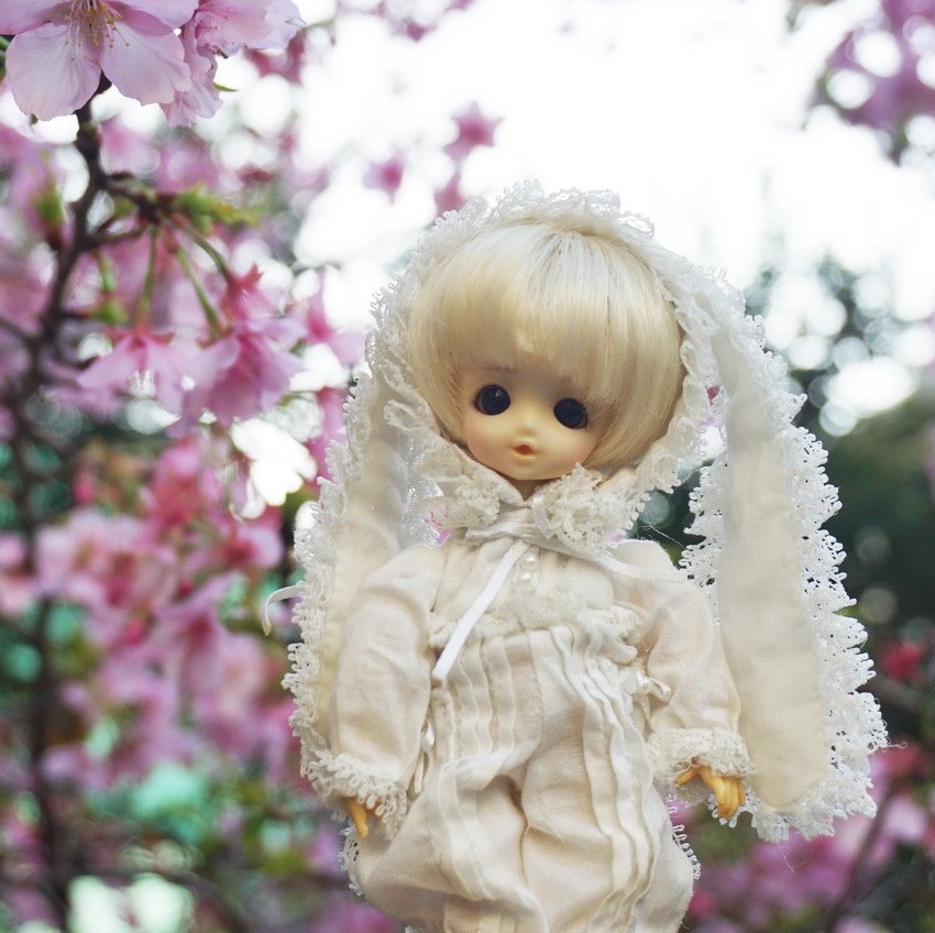 白兔姊妹花