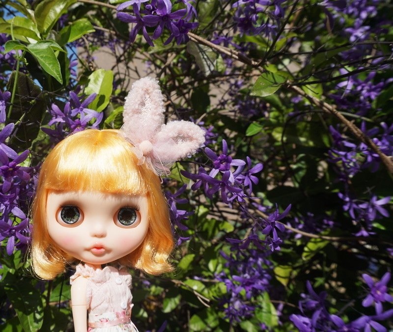 俏皮女孩與藍花藤