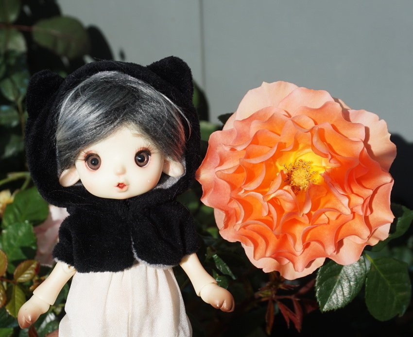 可愛情侶兜風去