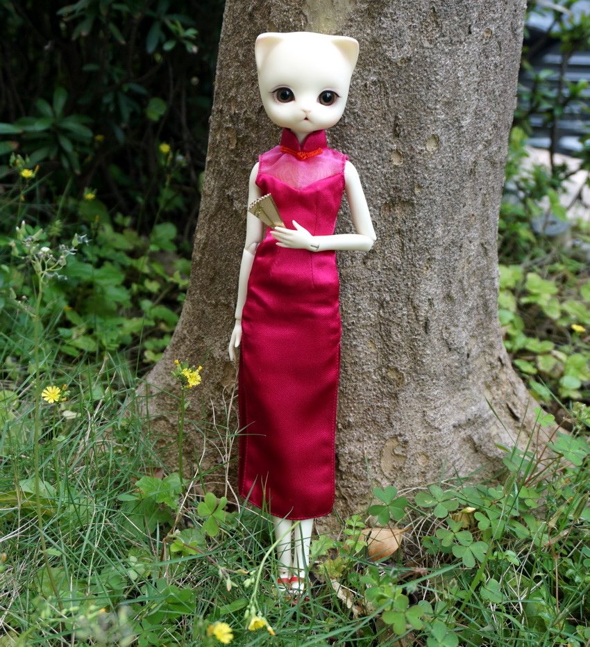 藍花藤貓美人