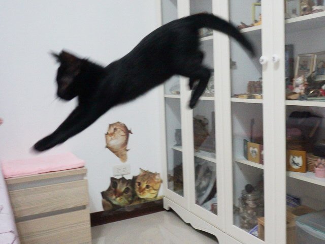 飛躍的熊熊
