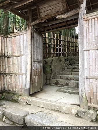 IMG_9178.jpg