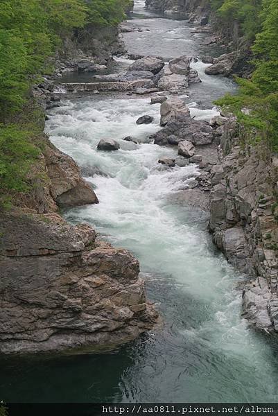 IMG_1985.jpg
