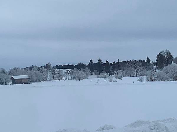 IMG_4010.jpg