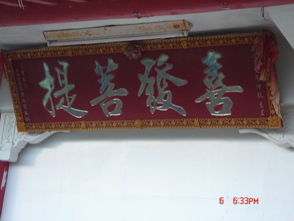 DSC07481.JPG