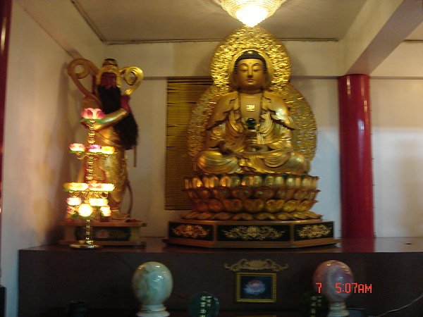 DSC07531.JPG