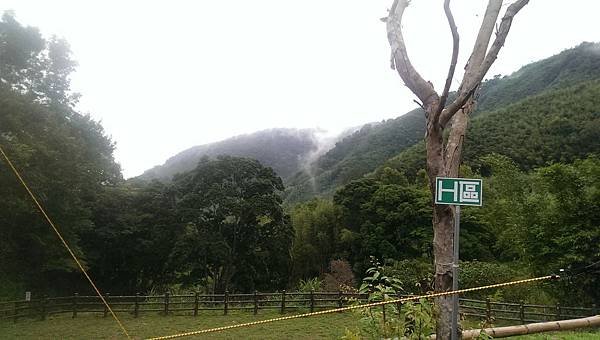 IMAG2837