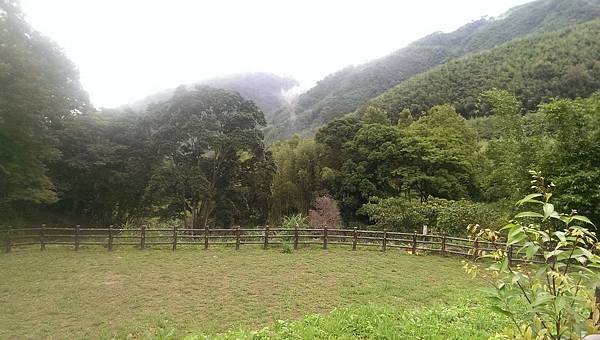 IMAG2838
