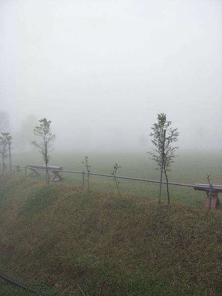 IMG20171028103930.jpg
