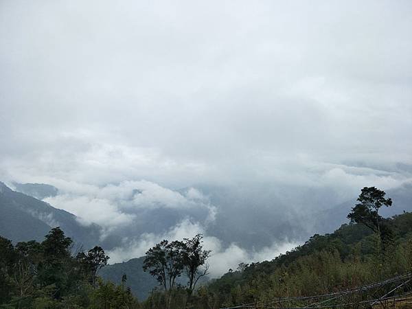 IMG20171028140455.jpg