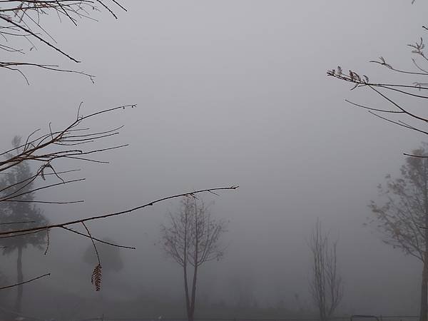 20210123_174304.jpg