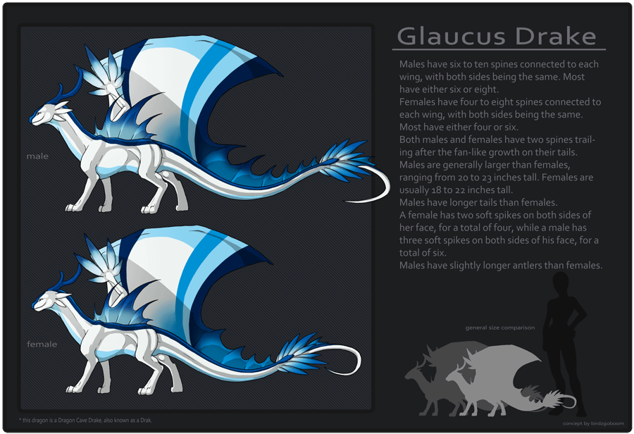 Glaucus_Drake_Ref-sheet.png