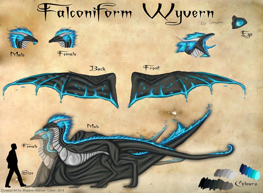 Falconiform_Refsheet.jpg