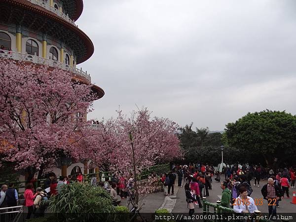 DSC08937