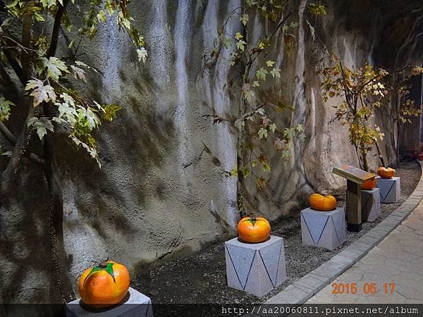 DSC00180
