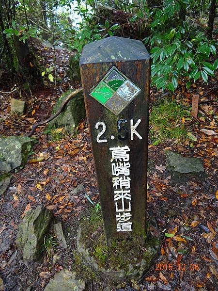 DSC05060.JPG