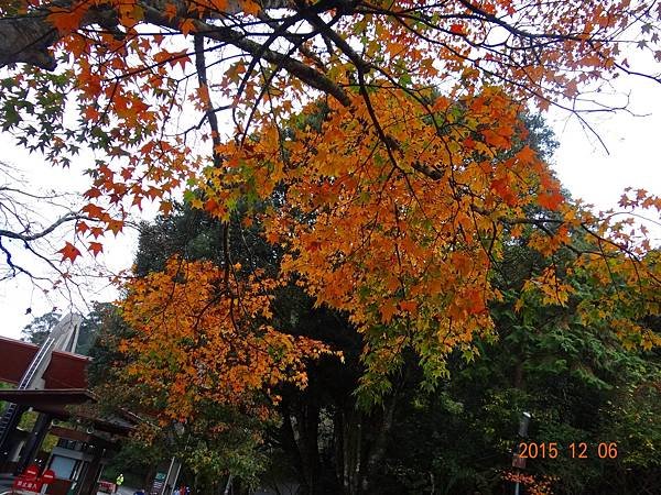 DSC05188.JPG