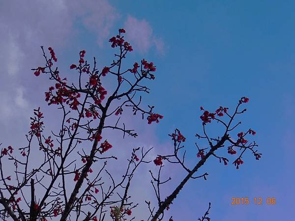 DSC05192.JPG