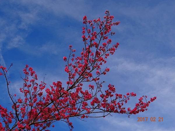 DSC01468.JPG