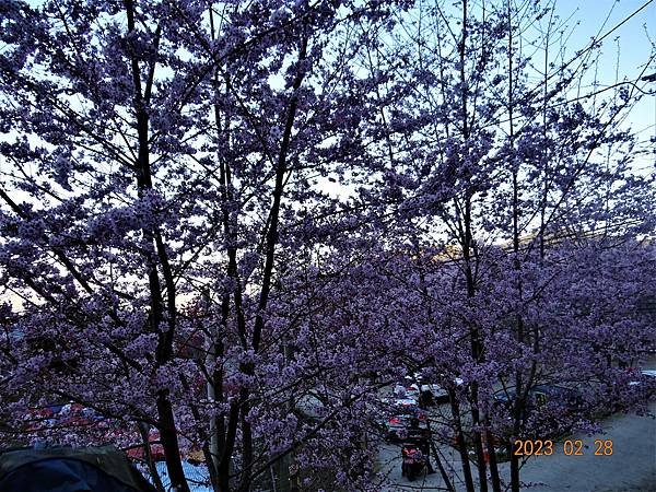 DSC03074.JPG