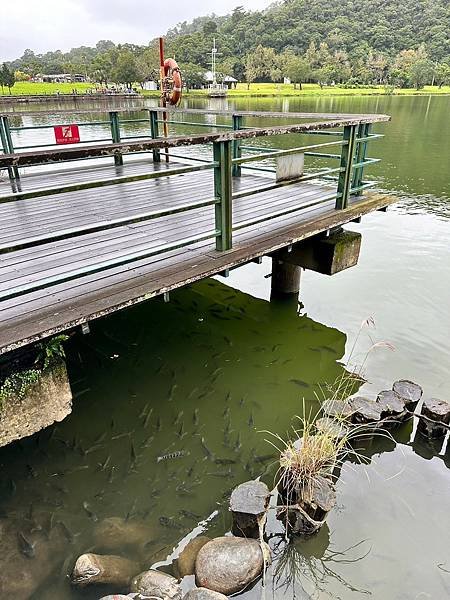 宜蘭礁溪景點｜宜蘭礁溪｜龍潭湖風景區｜龍潭湖畔悠活園區【台灣