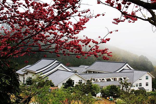 妙音淨院2014.02.06 082
