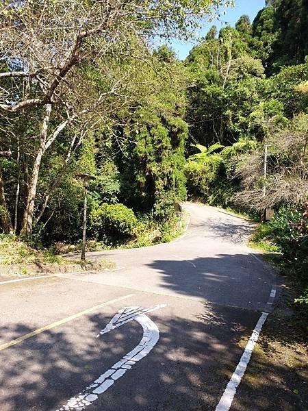 108年2019年11月感謝客戶包車 (32).jpg