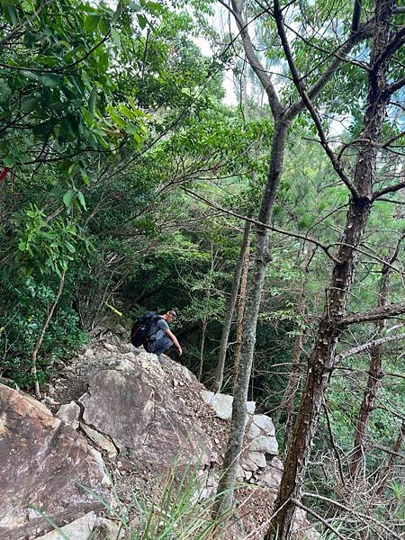 台中谷關隱藏版第八雄｜ 阿冷山O形縱走｜地形多變考驗體力｜攀