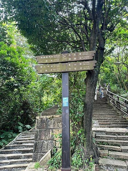 臺北旅遊 （捷運象山站） 南港山系親山步道➤信義區外國人心目