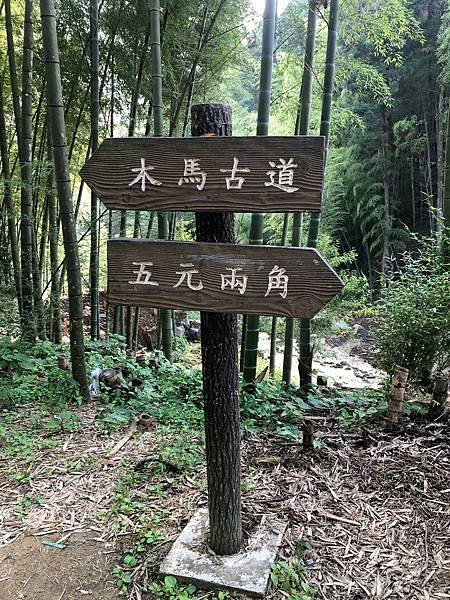 雲林草嶺景Yünlin古坑免門票武俠劇場景✅台版小京都嵐山竹