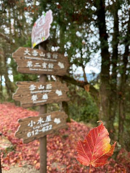 台中大雪山遊樂區步道♥大雪山國家森林遊樂區步道群♥大雪山國家