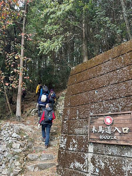 台中大雪山遊樂區步道♥大雪山國家森林遊樂區步道群♥大雪山國家